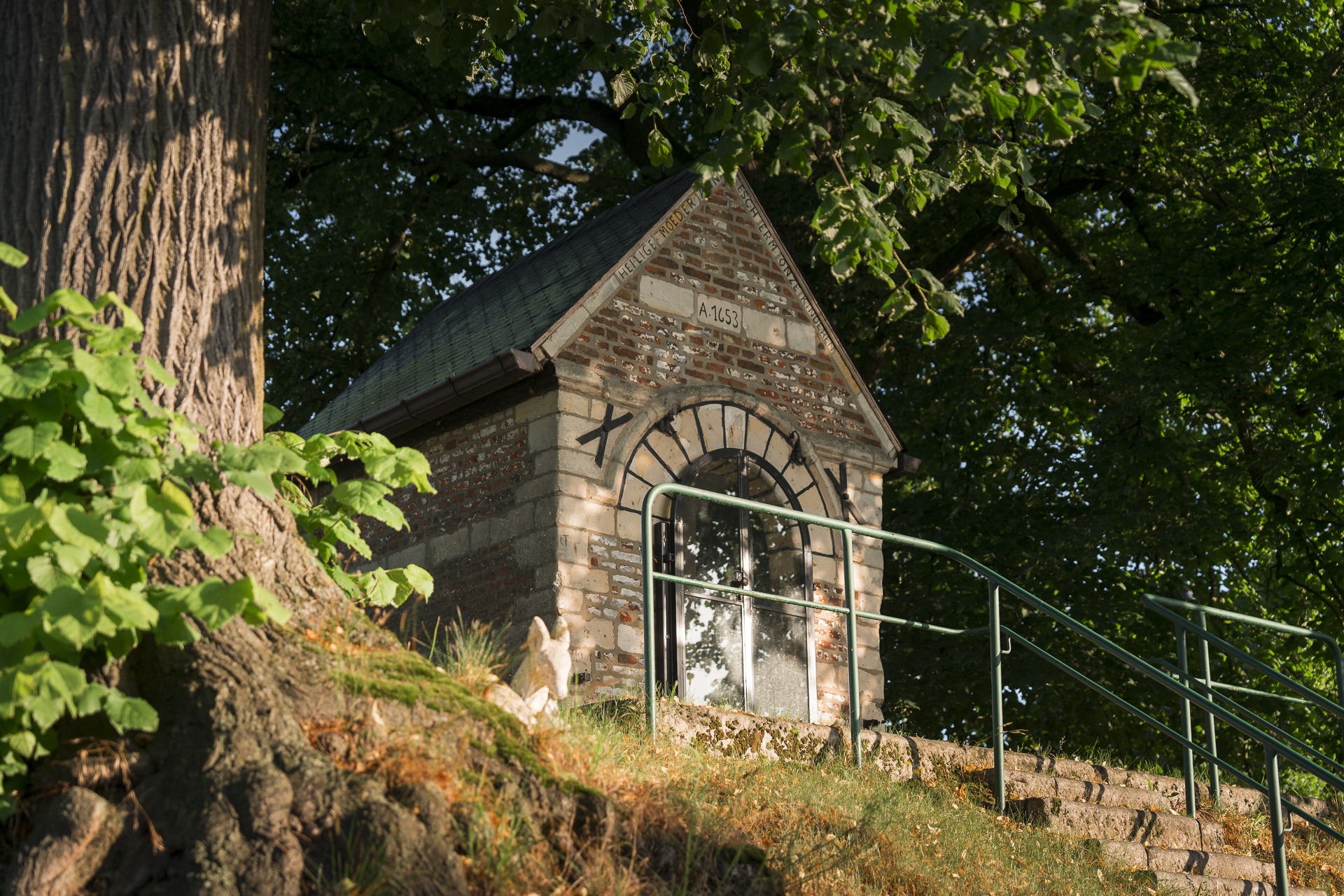 Image 2