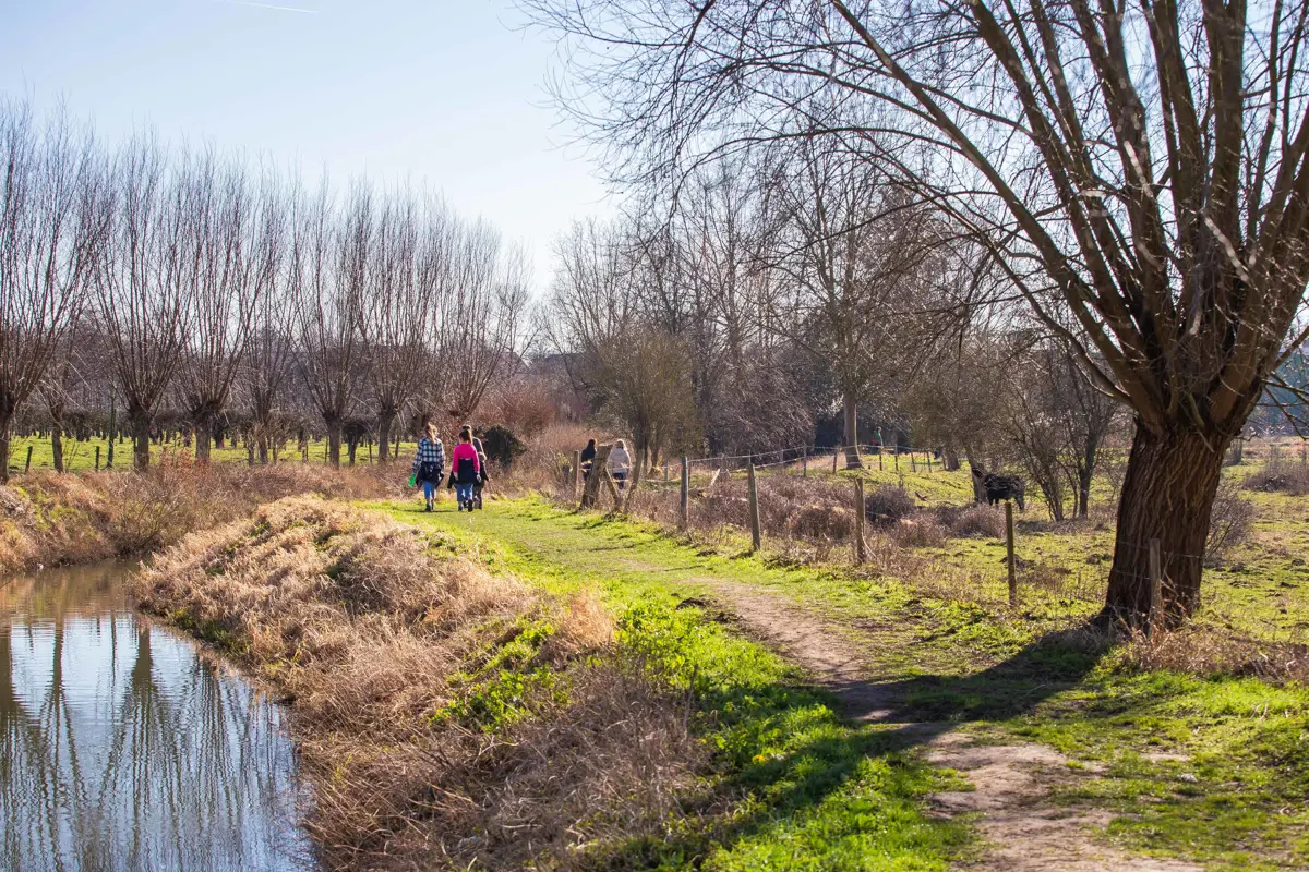 Herkbeemden in Wellen | © RLHV