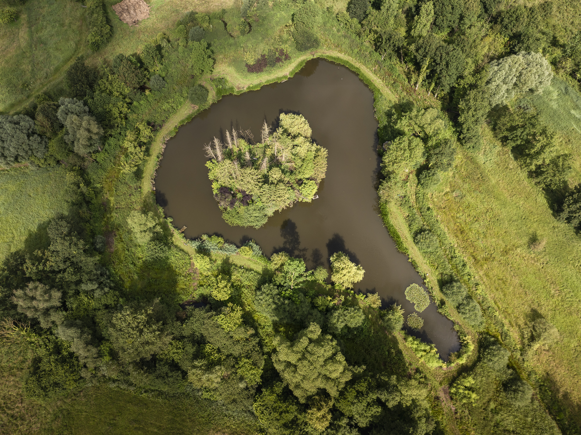 Biodivers landschap