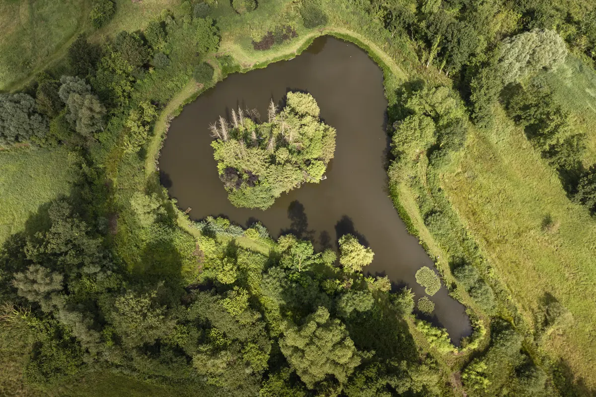 image Image Biodivers landschap