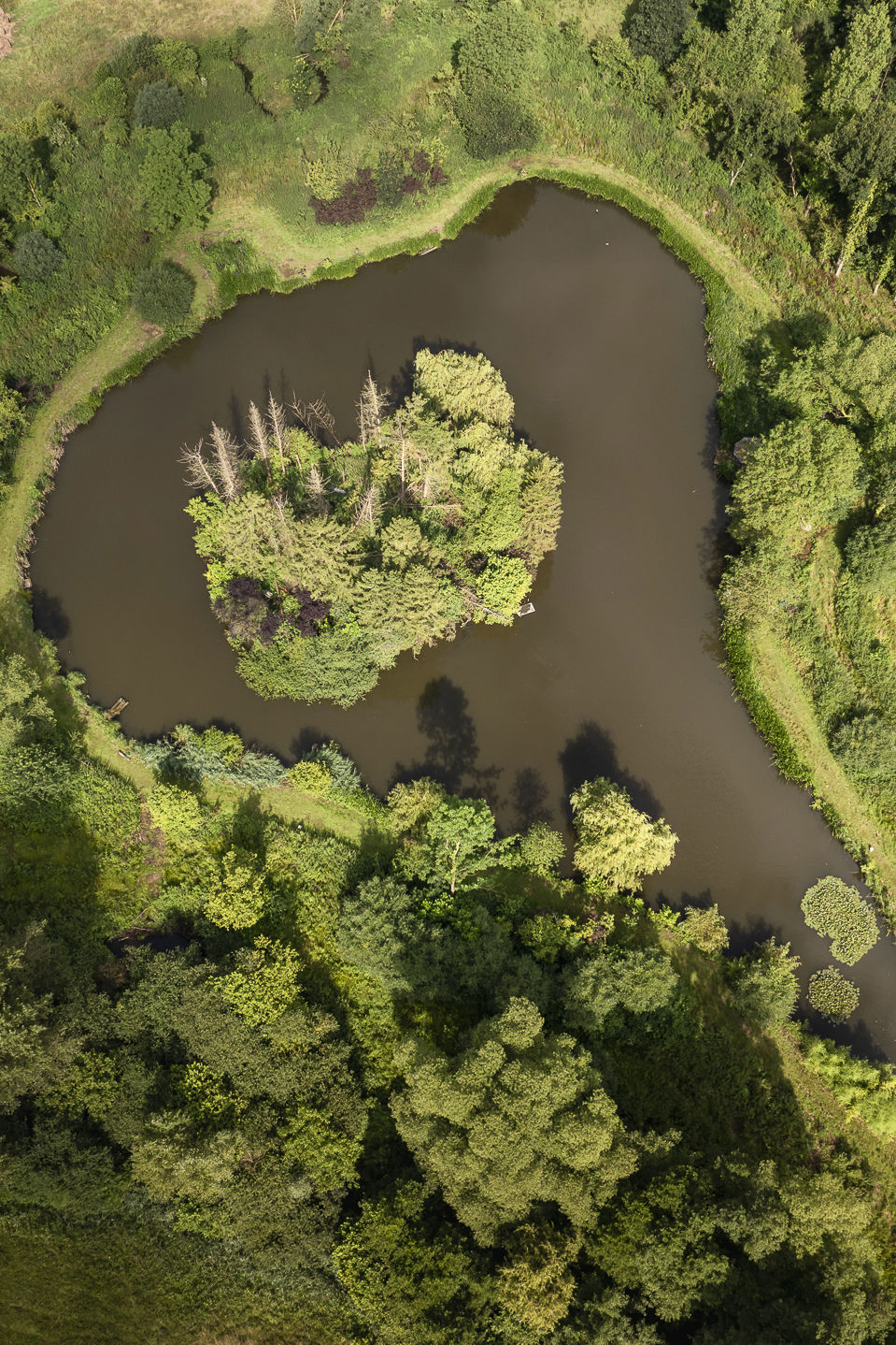 Biodivers landschap