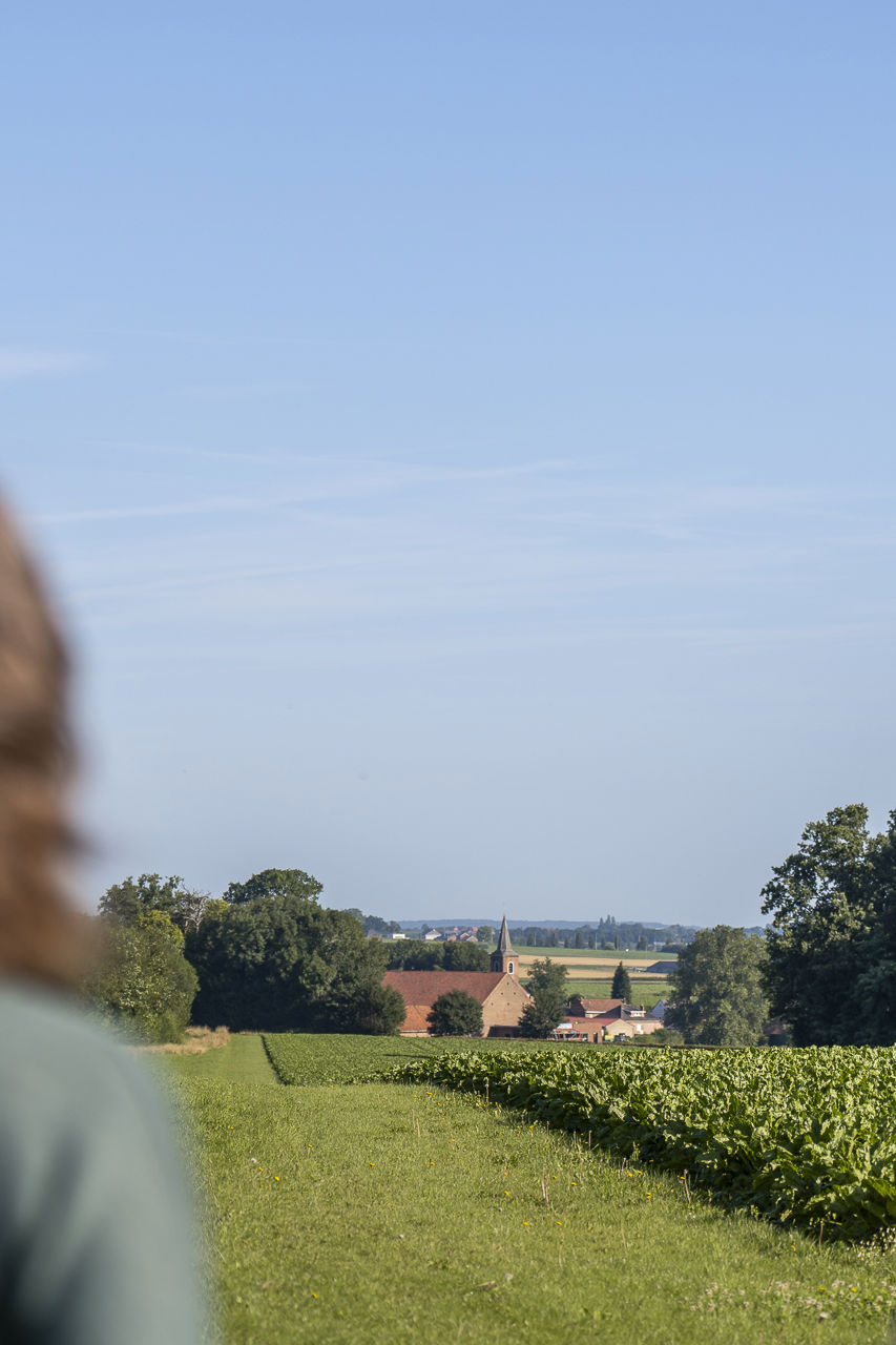 Mens en omgeving