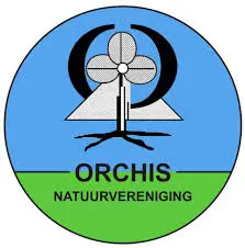 Orchis