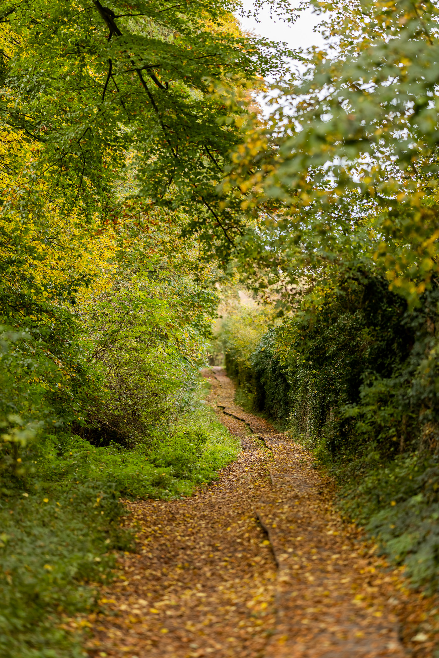 © Visit Tongeren-Borgloon