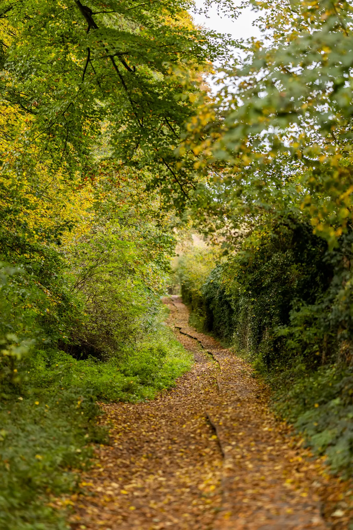 © Visit Tongeren-Borgloon