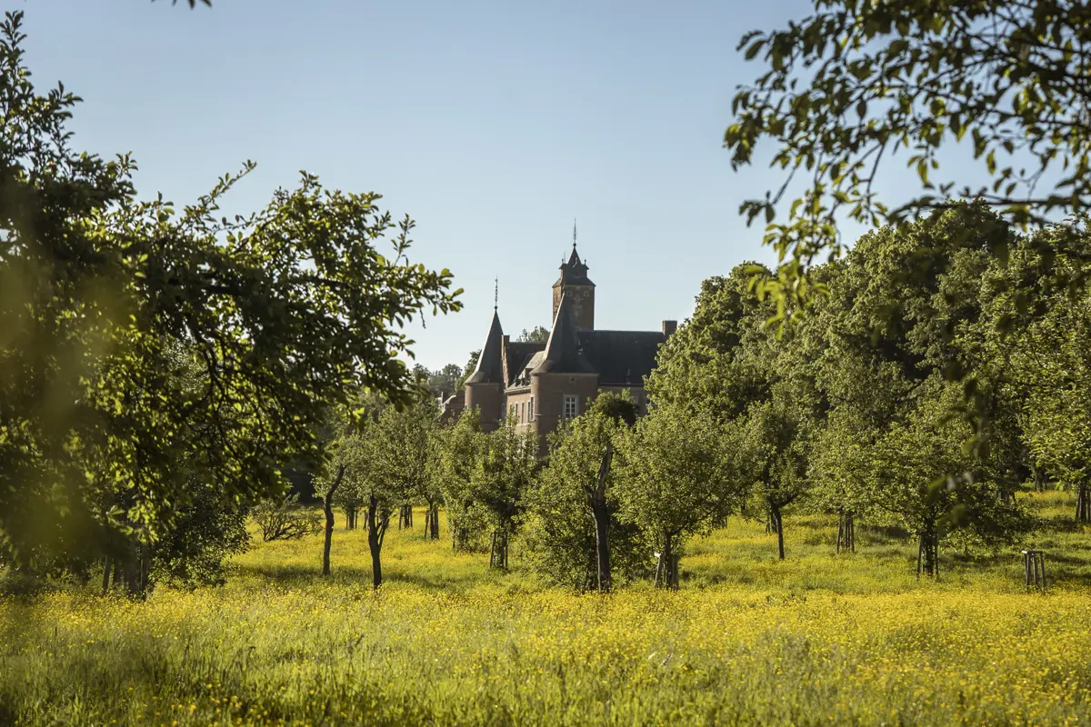 SOS hoogstamboomgaarden