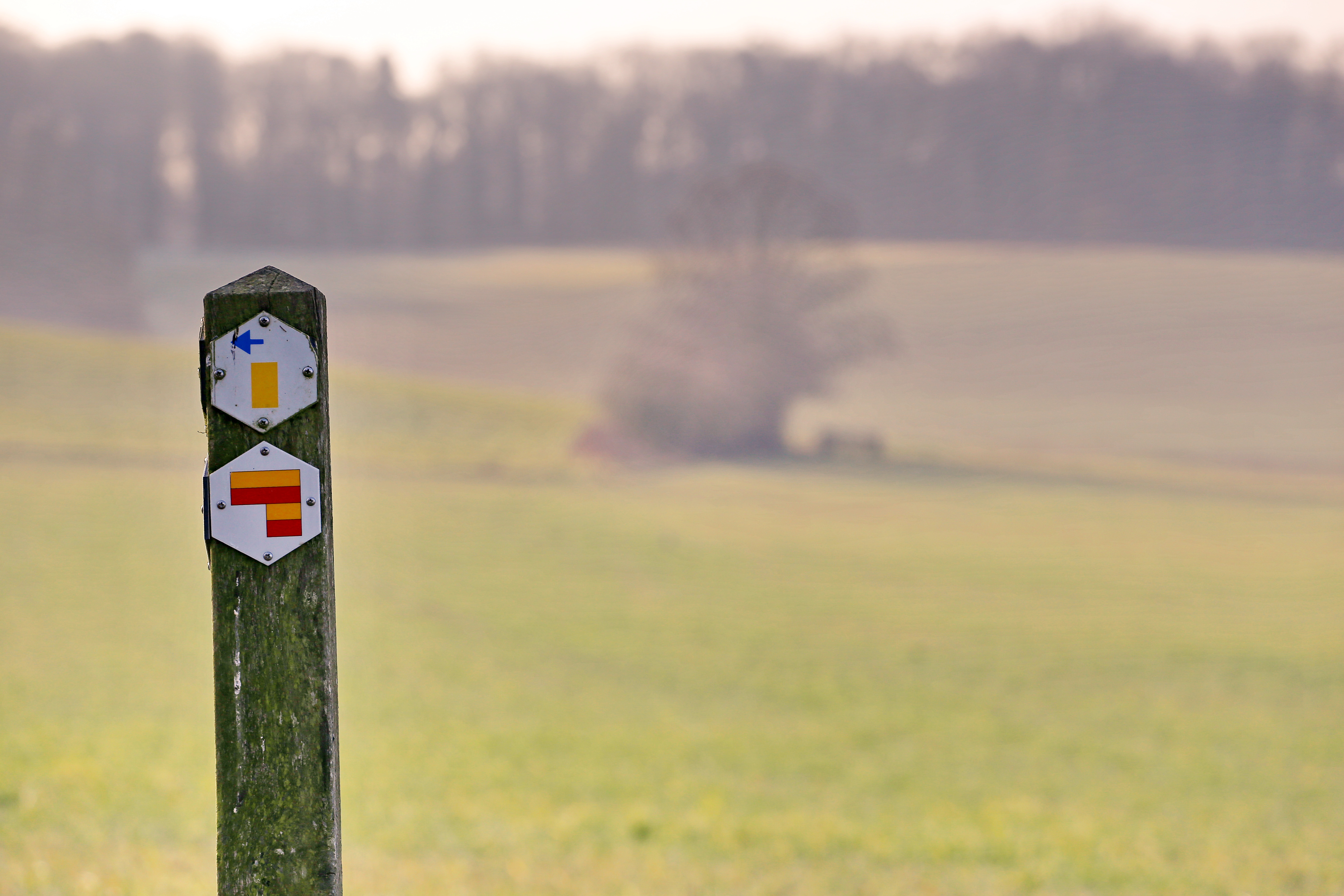 Vernieuwing StreekGR Haspengouw
