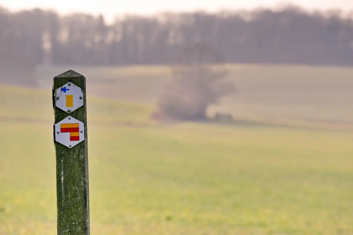 Vernieuwing StreekGR Haspengouw