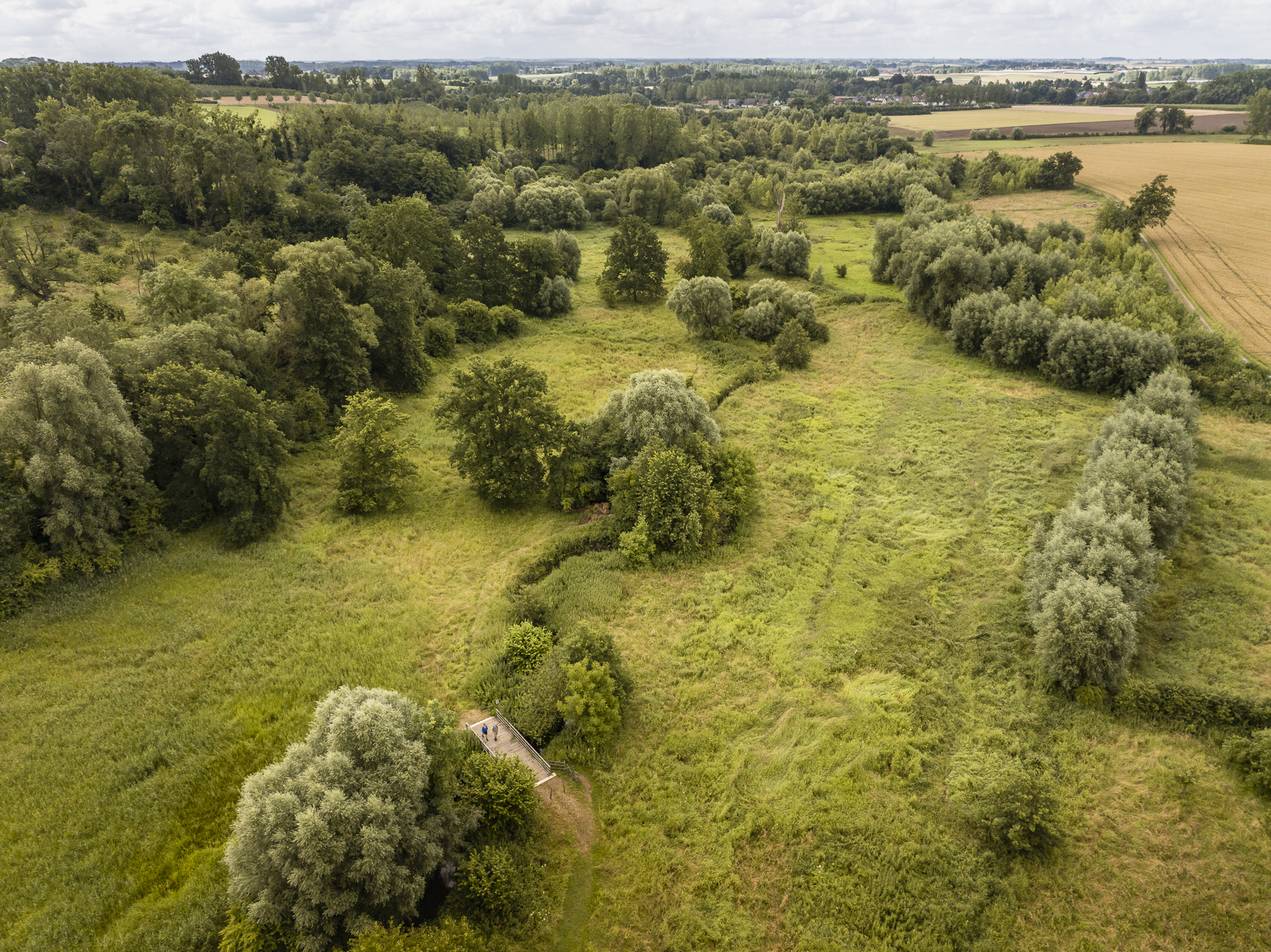 Wandelen in de vallei