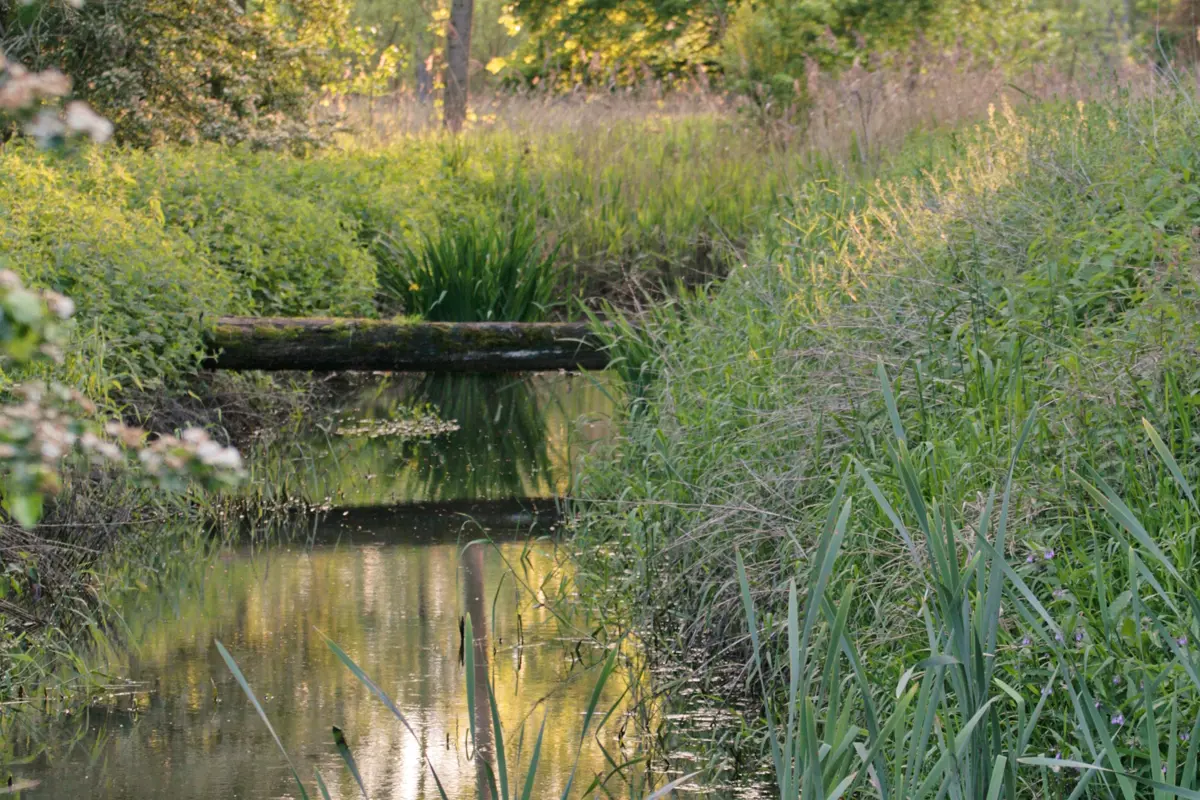Mombeekvallei in Alken | © RLHV