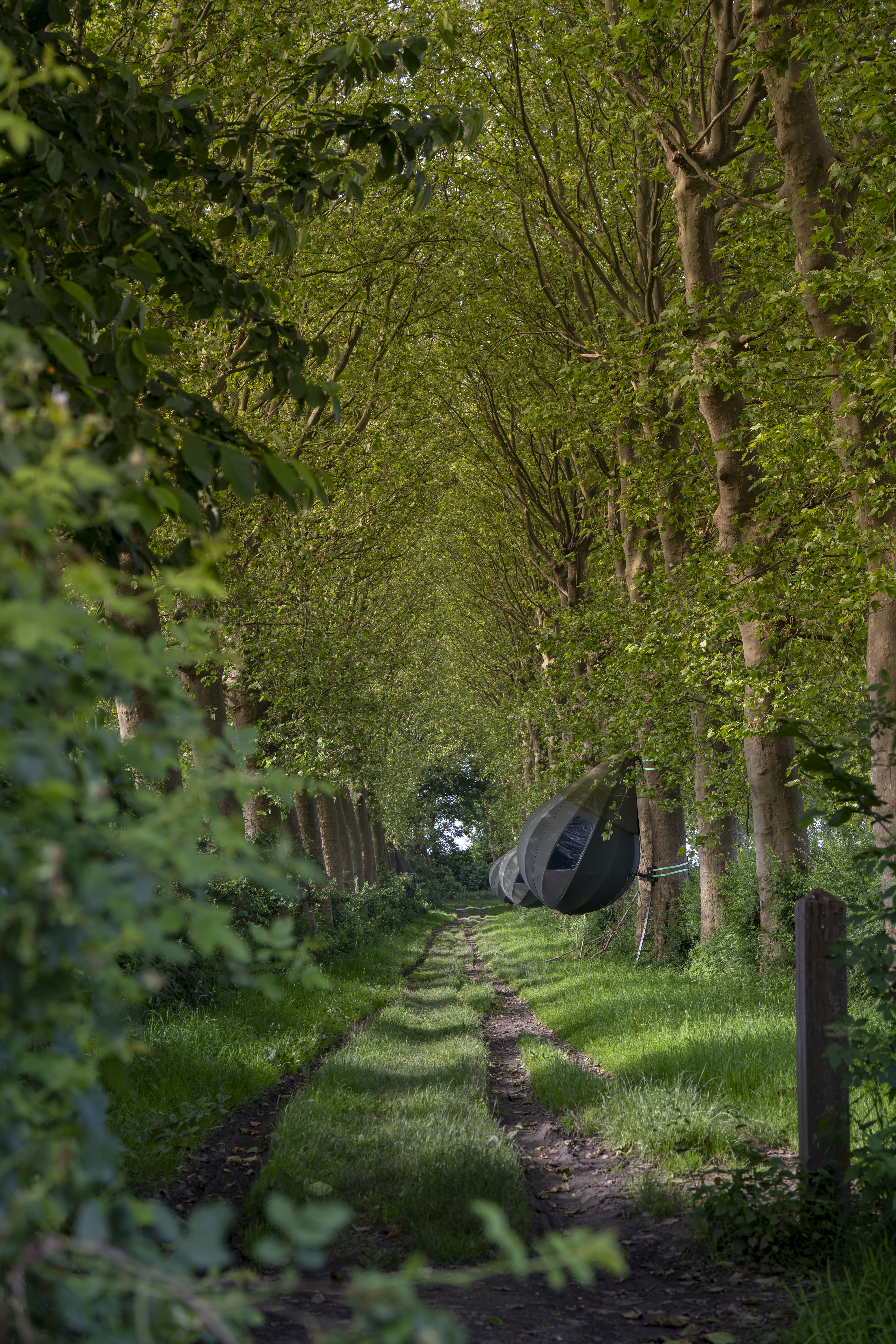 Overnachten in het landschapspark