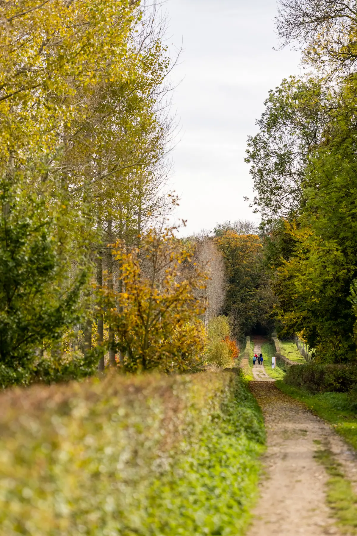 © Visit Tongeren-Borgloon