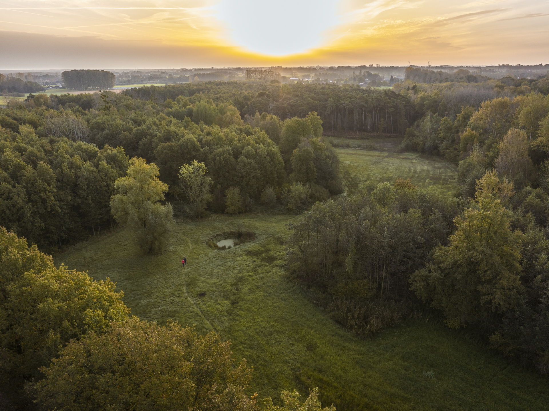 Studie ecologische basisstructuur