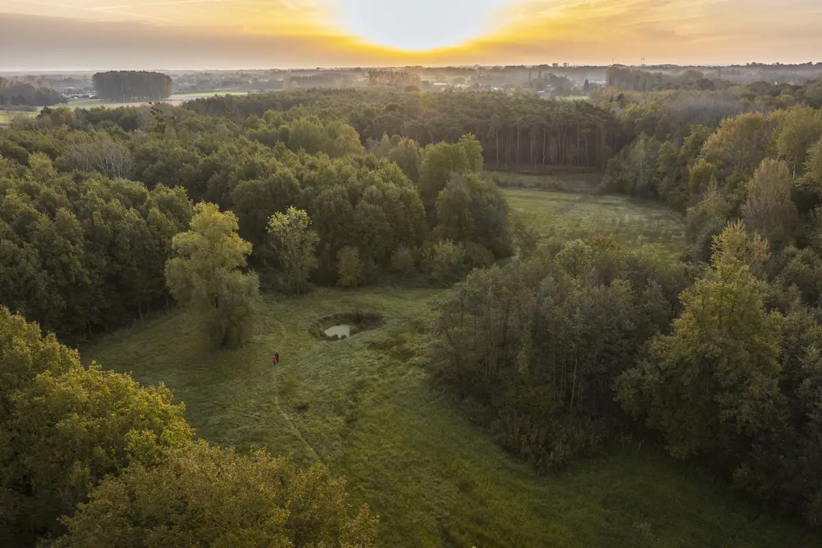 Studie ecologische basisstructuur